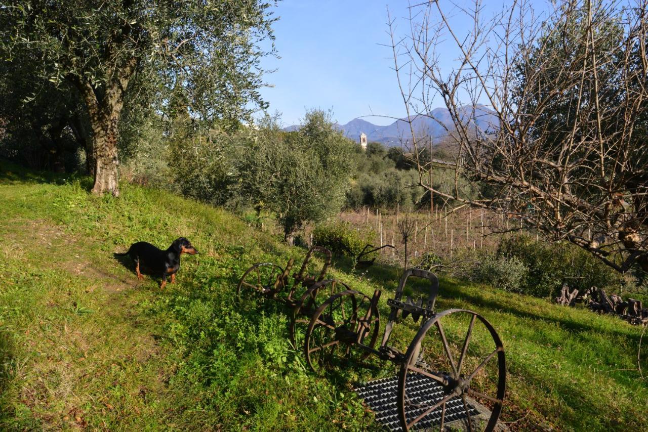Antiche Mura Casa Vacanze ปูเอ็นญาโก ภายนอก รูปภาพ